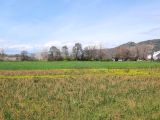 Mugla Okçularda 2 800 m2, köy yerleşik alanındaki arazi satılık