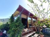  Muğla Dalyanda doğal yüzme havuzlu 1.875 m2 bahçeli 145 m2 müstakil ev satılık